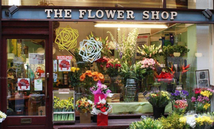 花店和宠物店哪个赚钱?两者的前景如何? 花店和宠物店哪个赚钱?两者的前景如何?