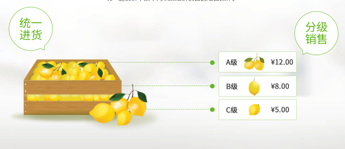 水果分级