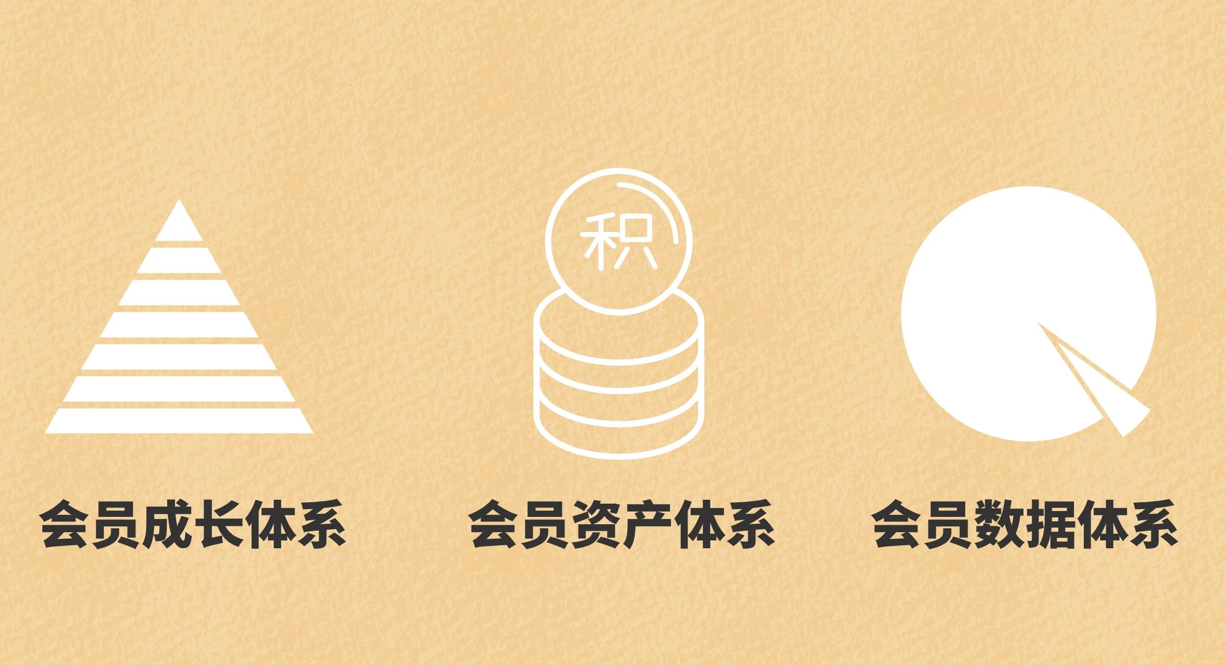 会员CRM系统 会员CRM系统