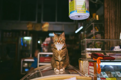 构建门店核心竞争力的四大指标